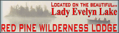 Red Pine Willderness