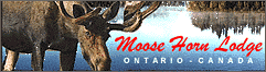 Moosehorn Lodge